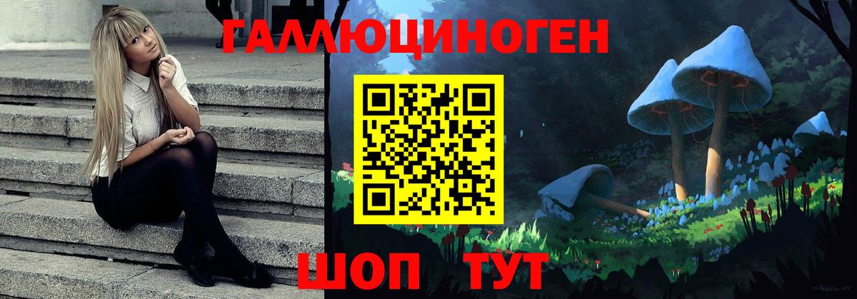 Галлюциногенные грибы Psilocybine cubensis  Галлюциногенные грибы Cubensis  Вход с VPN  Ирбит 